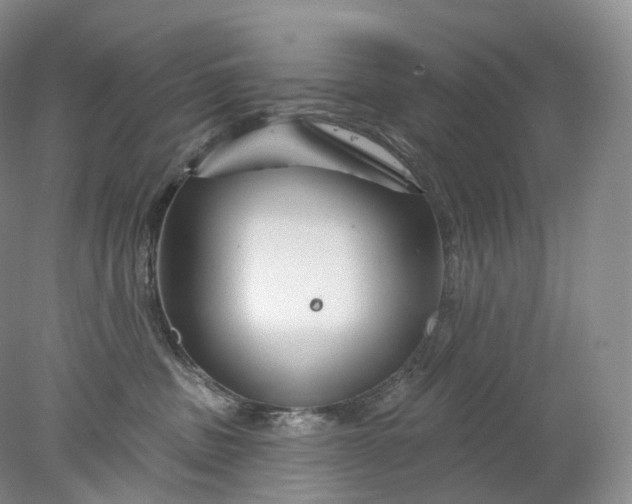 X0000078310379200611172221