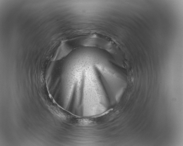 X0000078310380200611172221