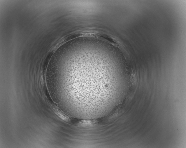 X0000078310381200611172221