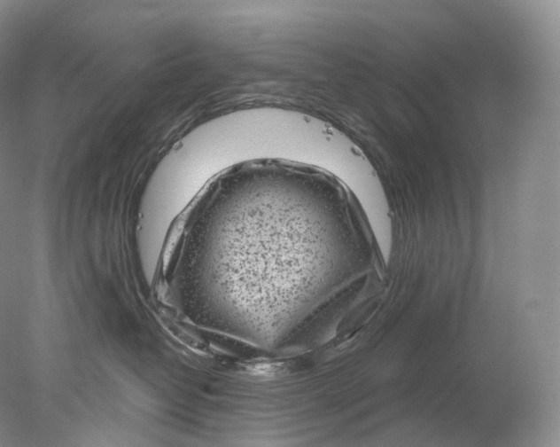 X0000078310382200611172221