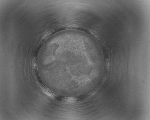 X0000078310383200611172221