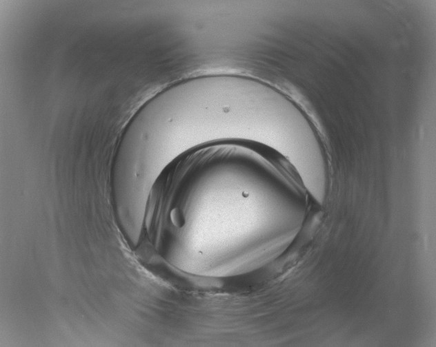 X0000078310385200611172220