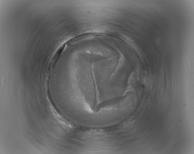 X0000078310386200611172220