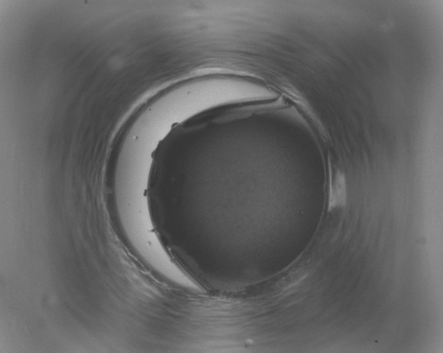 X0000078310387200611172220