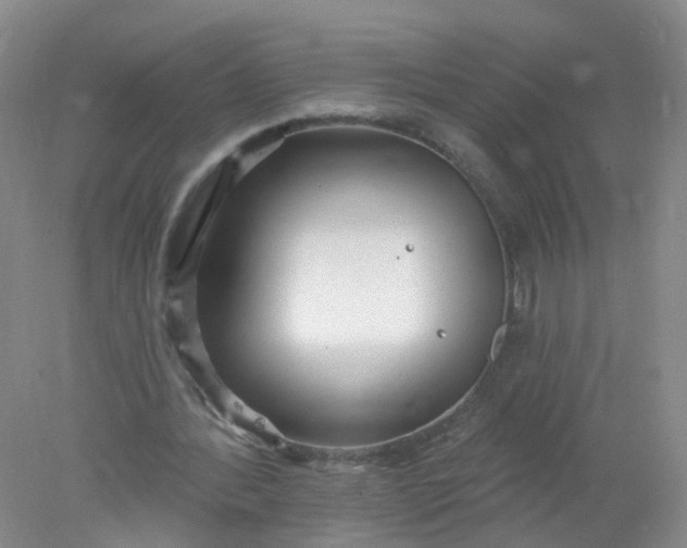 X0000078310388200611172220