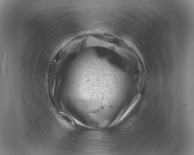 X0000078310389200611172220