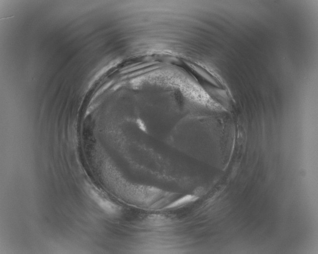 X0000078310390200611172220