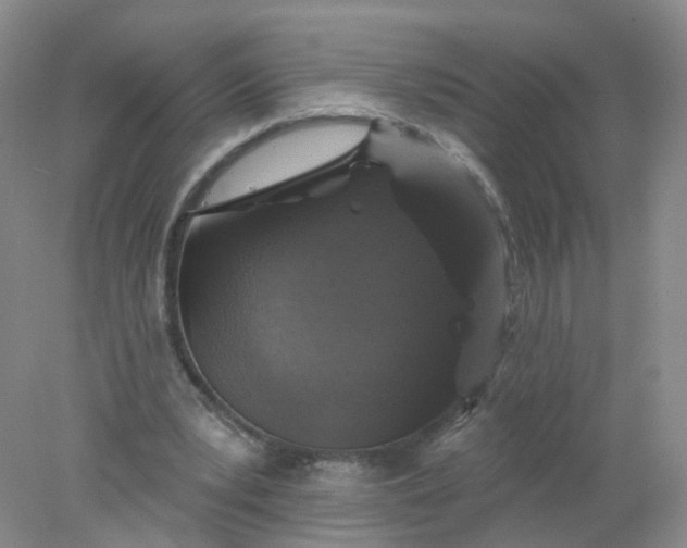 X0000078310391200611172220