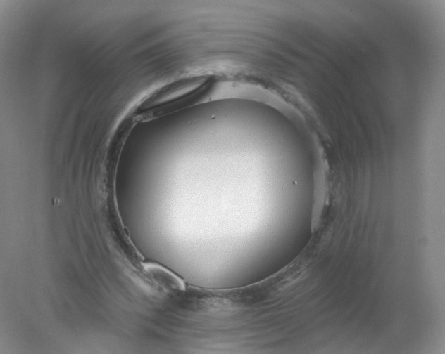 X0000078310392200611172220