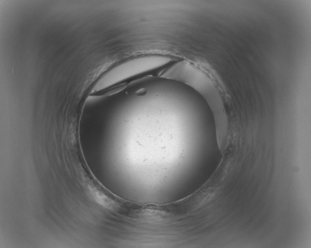 X0000078310393200611172220