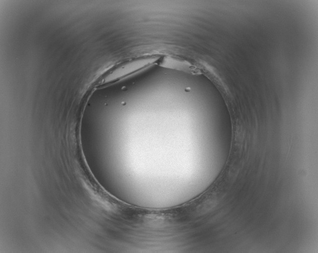 X0000078310394200611172220