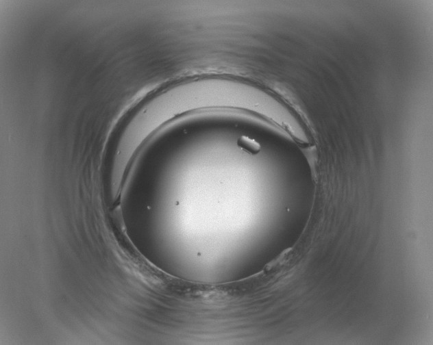 X0000078310395200611172220