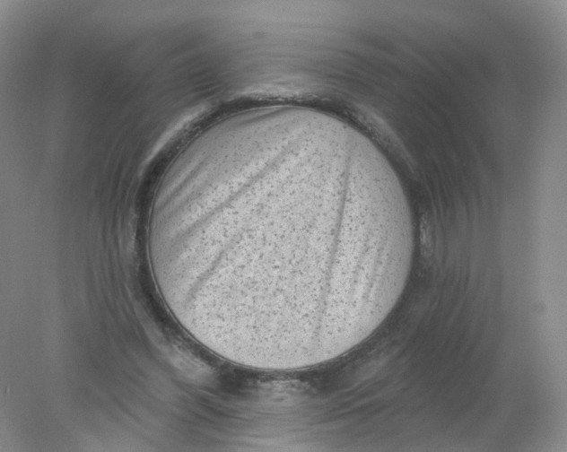 X0000078310396200611172220