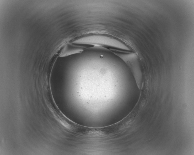 X0000078310397200611172220