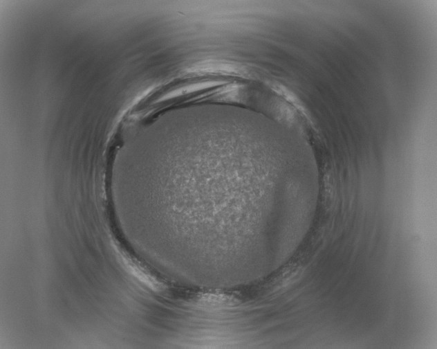 X0000078310399200611172220