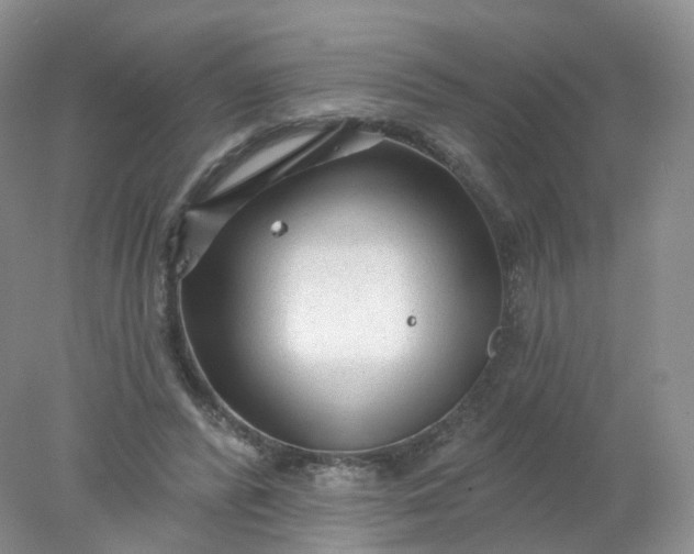 X0000078310400200611172220