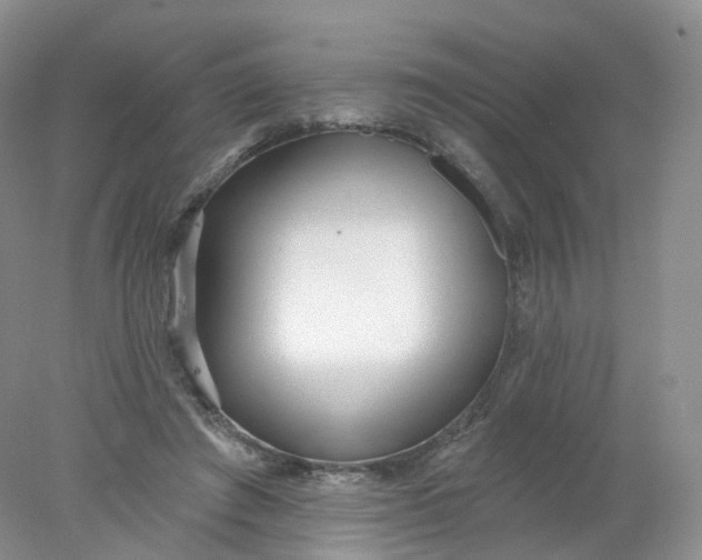 X0000078310401200611172220