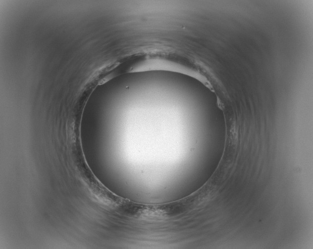 X0000078310403200611172220