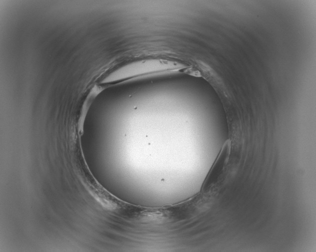 X0000078310405200611172220