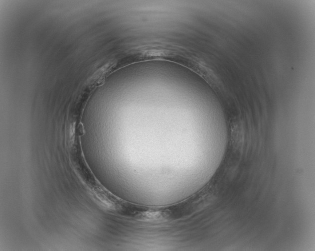 X0000078310406200611172220