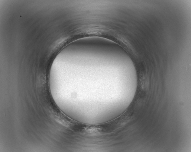 X0000078310407200611172220