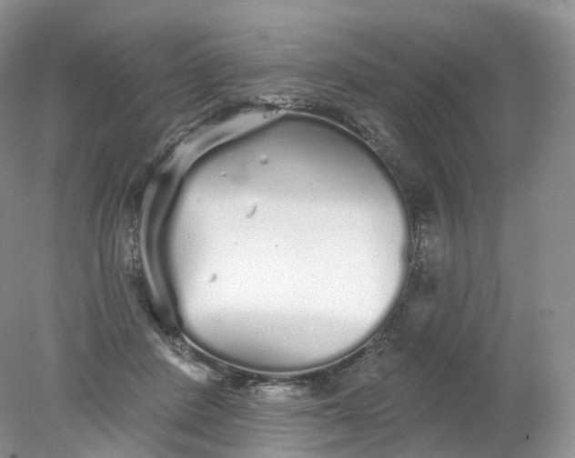 X0000078310408200611172220