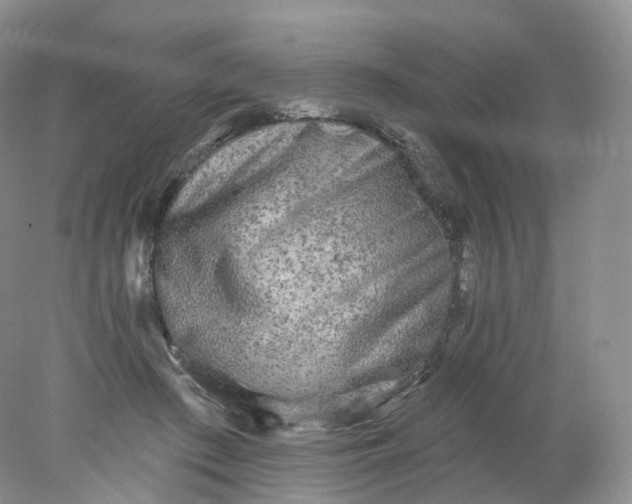 X0000078310409200611172220