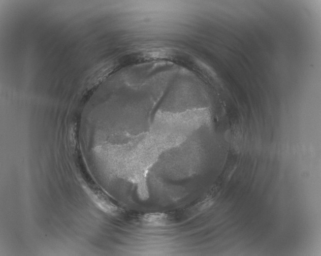 X0000078310410200611172220