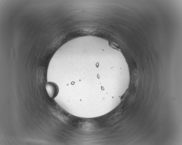 X0000078310412200611172220