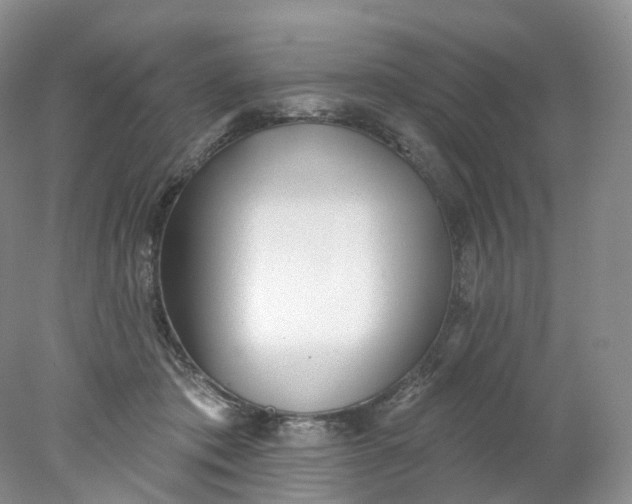 X0000078310413200611172220