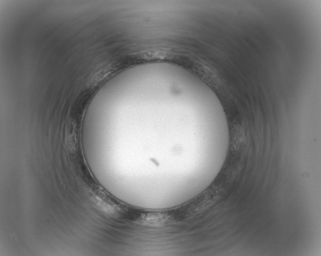 X0000078310414200611172220