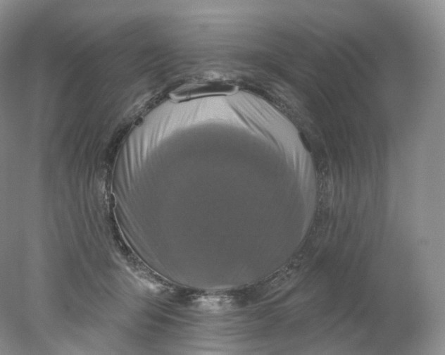 X0000078310415200611172220