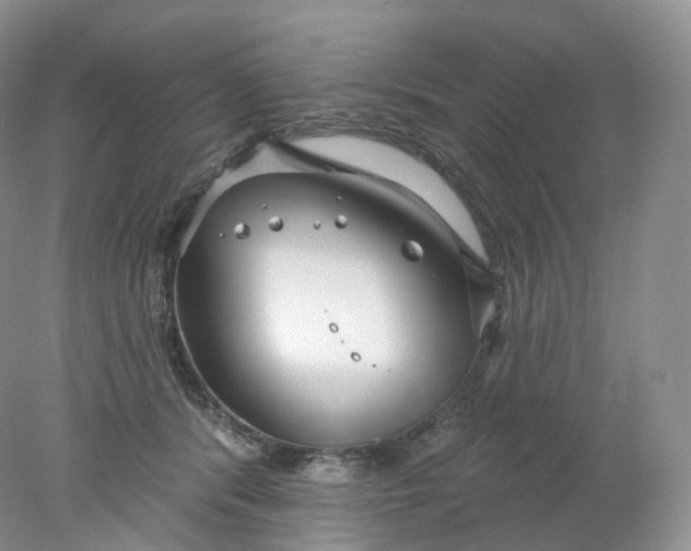 X0000078310416200611172220