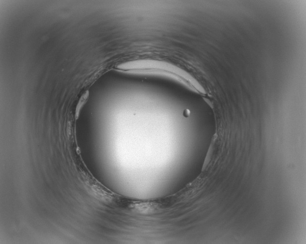 X0000078310417200611172220