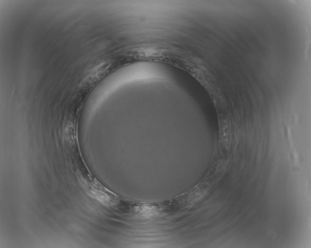 X0000078310419200611172220