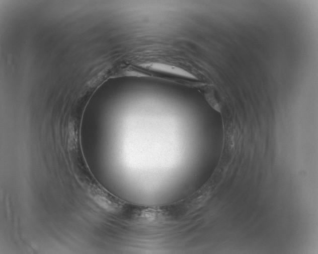 X0000078310420200611172220