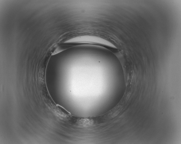 X0000078310421200611172220