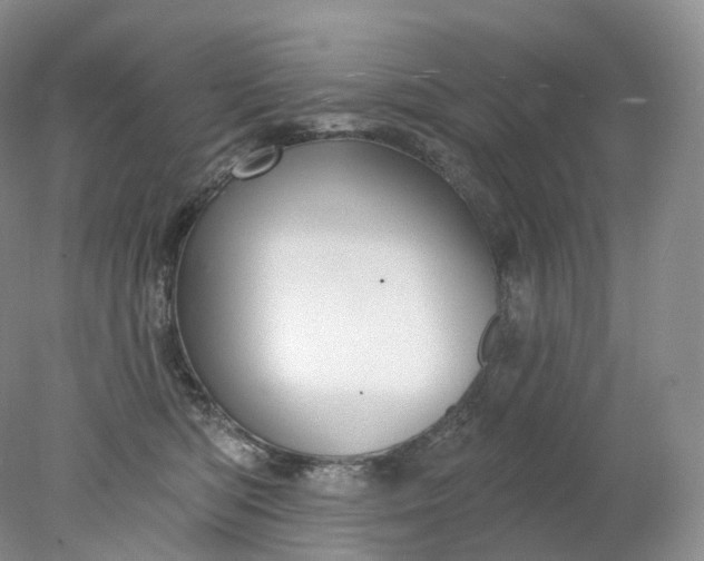 X0000078310422200611172220