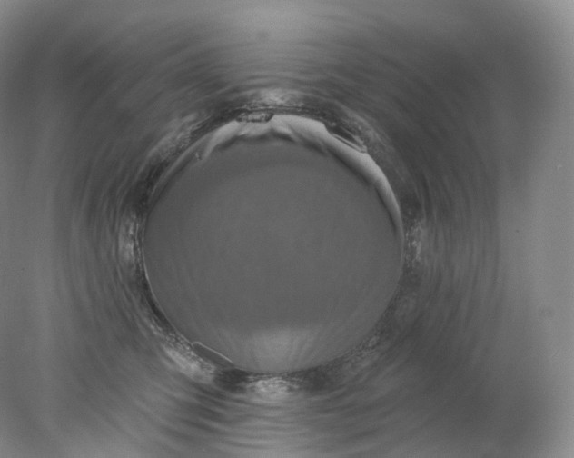 X0000078310423200611172220