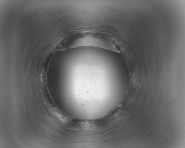 X0000078310424200611172220