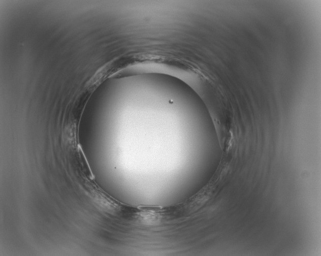 X0000078310425200611172220