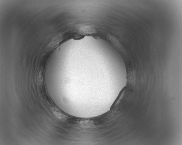 X0000078310426200611172220