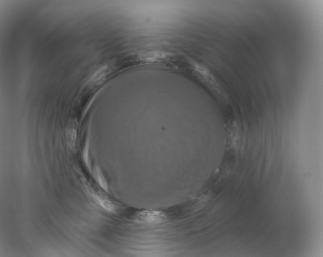 X0000078310427200611172220