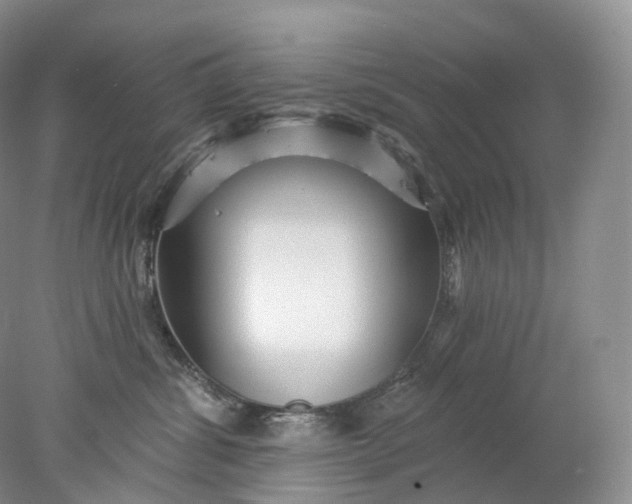 X0000078310428200611172220