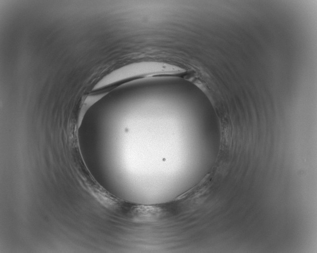 X0000078310429200611172219