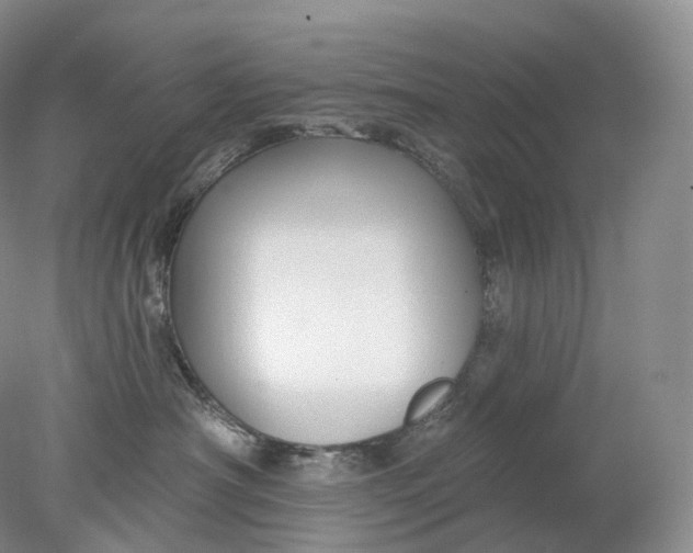 X0000078310430200611172219