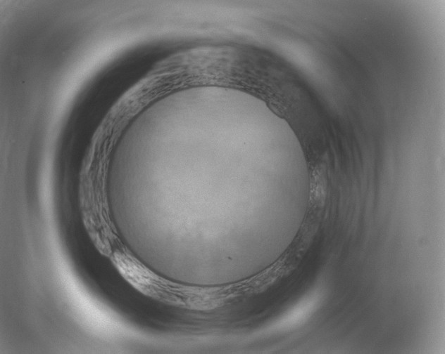 X0000078310431200611172219