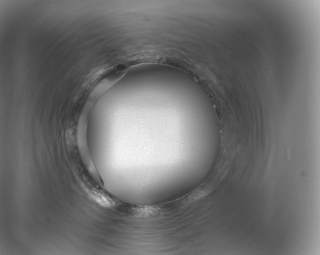 X0000078310432200611172219