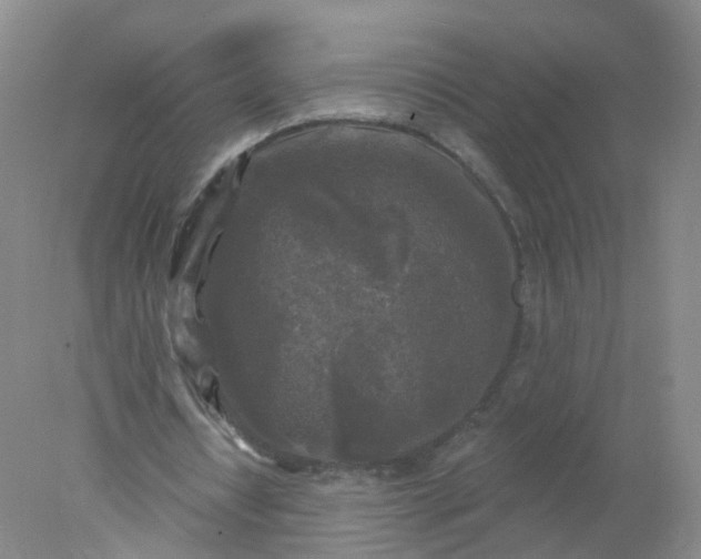 X0000078310434200611172219