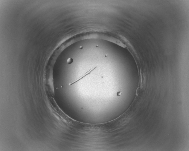 X0000078310435200611172219